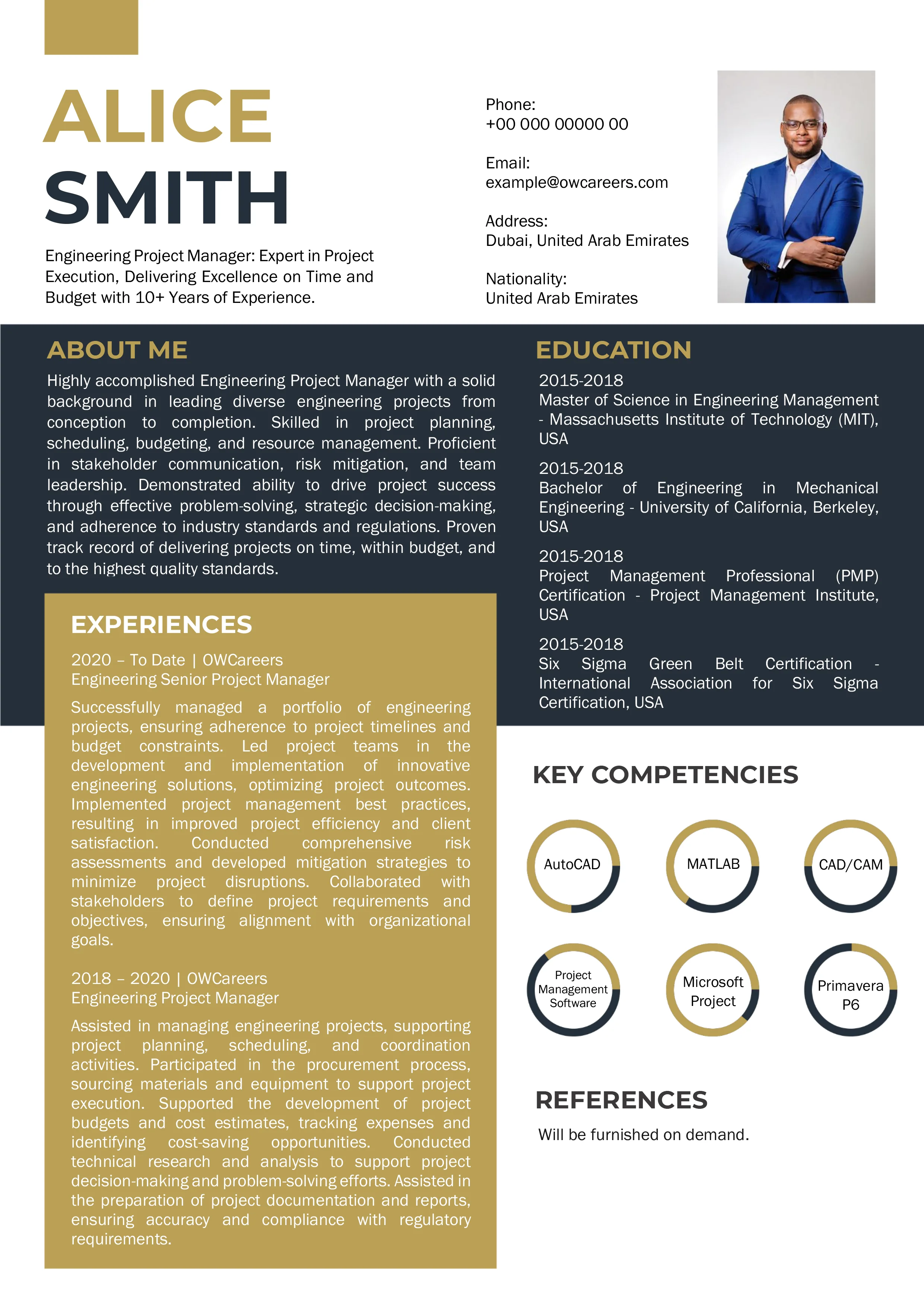 Engineering Project Manager CV